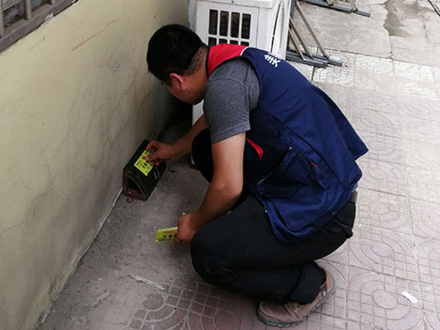 西安灭老鼠服务