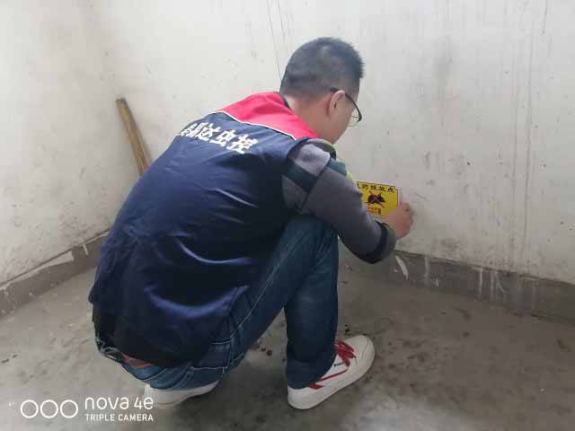 西安灭老鼠公司