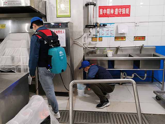 西安灭蚂蚁公司