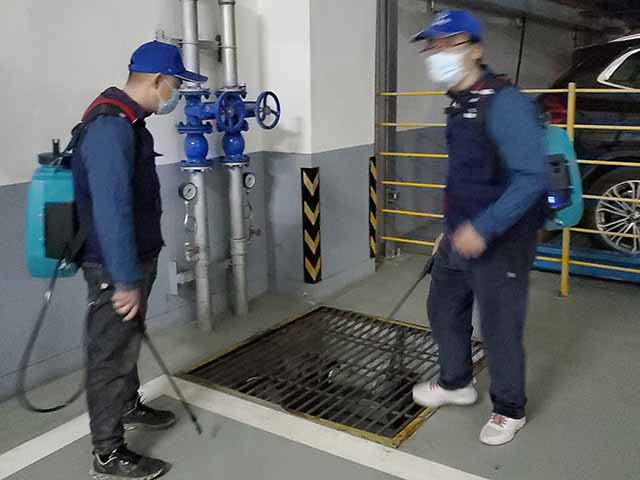 西安灭鼠公司从嗅觉、听觉、味觉角度出发带您了解老鼠