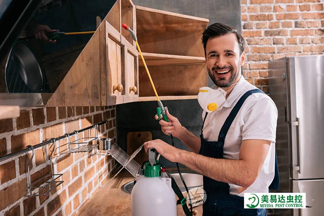 清明时节，有哪些鼠虫害需要特别关注