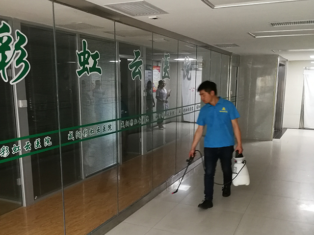 在西安为什么蟑螂泛滥的季节是夏秋季节