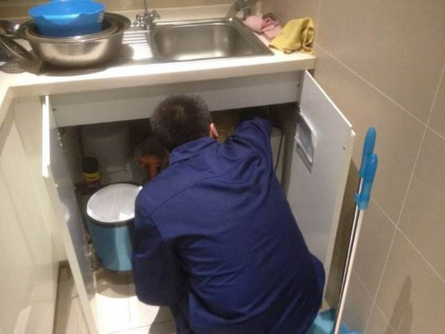 西安白蚁防治公司说说白蚁有多厉害