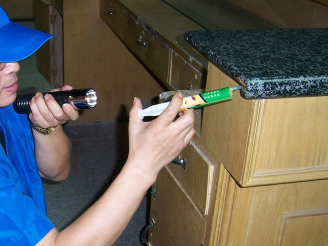 在西安，灭蟑螂为什么要找万径呢