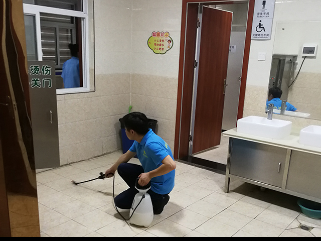 西安灭鼠公司说说灭老鼠的方法和步骤