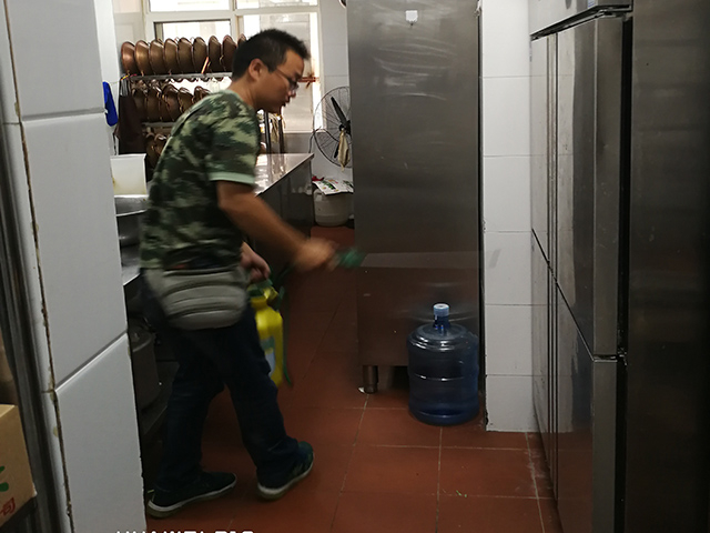 在西安，切不可小看蟑螂，它可是个危险分子