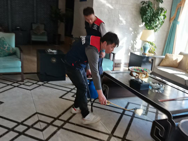 据西安灭老鼠公司调查老鼠也存在迁徙的行为