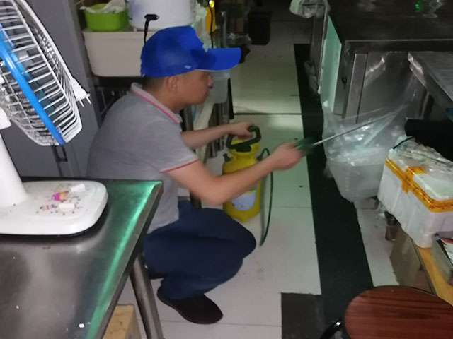 在西安餐厅众多，有老鼠可不得了，必须马上采取措施