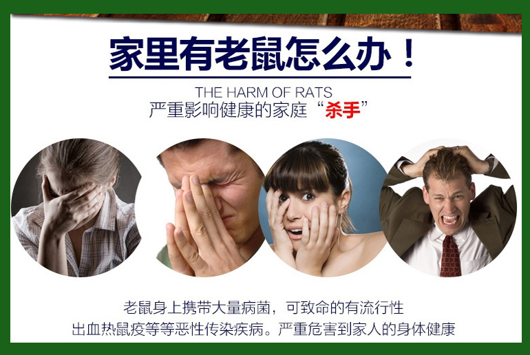 春天是最好的灭鼠季节，把握关键，老鼠一网打尽