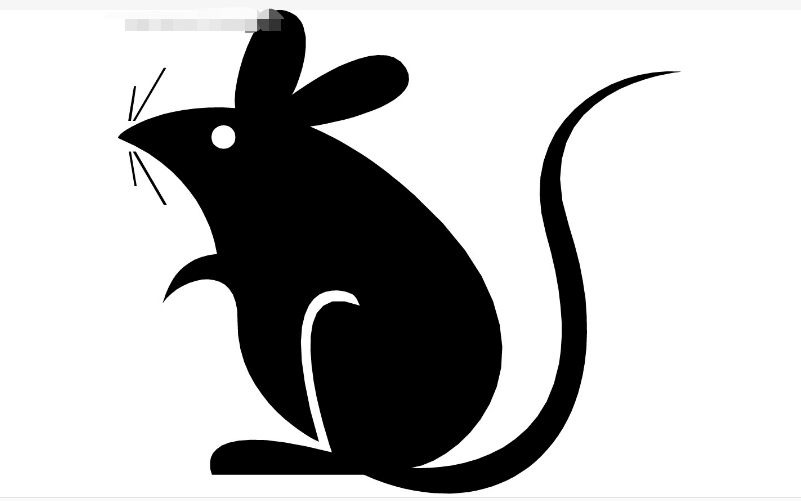 西安灭鼠公司组织员工去登华山